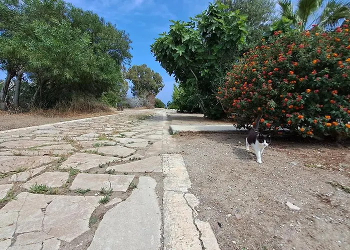 Yialos Cozy Beach House * Ларнака