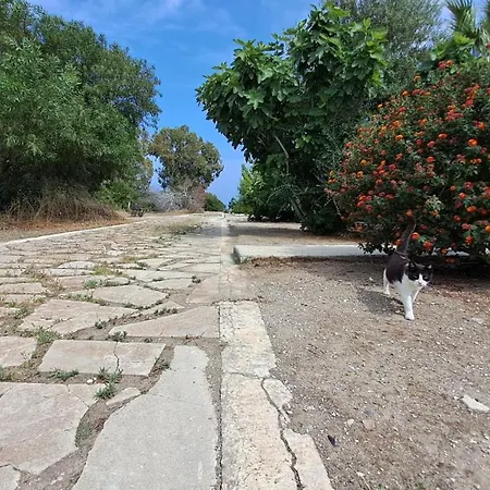 Yialos Cozy Beach House * Larnaca